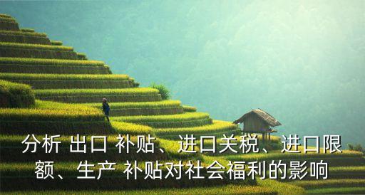 分析 出口 補(bǔ)貼、進(jìn)口關(guān)稅、進(jìn)口限額、生產(chǎn) 補(bǔ)貼對(duì)社會(huì)福利的影響