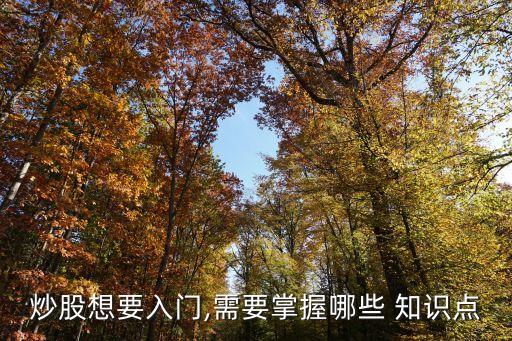 炒股想要入門,需要掌握哪些 知識點