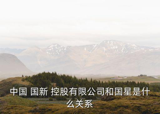 中國(guó) 國(guó)新 控股有限公司和國(guó)星是什么關(guān)系