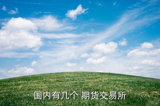 國內有幾個 期貨交易所