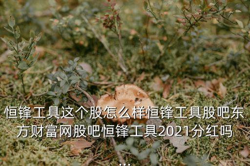 恒鋒工具這個股怎么樣恒鋒工具股吧東方財富網(wǎng)股吧恒鋒工具2021分紅嗎...