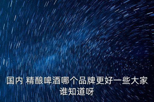 國(guó)內(nèi) 精釀啤酒哪個(gè)品牌更好一些大家誰(shuí)知道呀