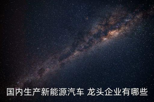 國(guó)內(nèi)生產(chǎn)新能源汽車(chē) 龍頭企業(yè)有哪些