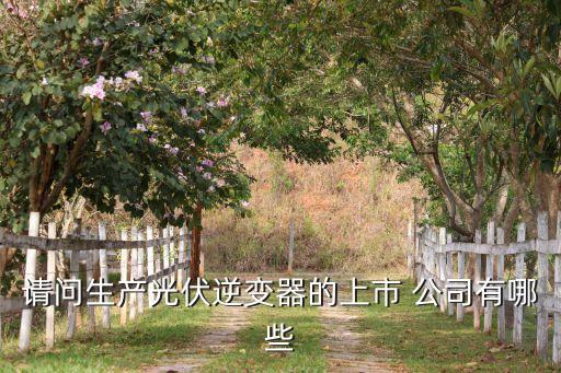 請(qǐng)問(wèn)生產(chǎn)光伏逆變器的上市 公司有哪些