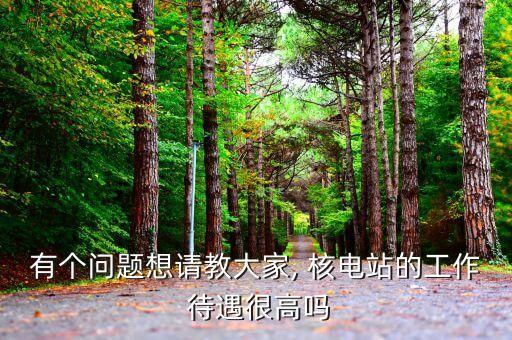 有個(gè)問題想請教大家, 核電站的工作 待遇很高嗎