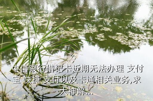  中信銀行借記卡近期無法辦理 支付寶 快捷 支付以及卡通相關業(yè)務,求大神解...