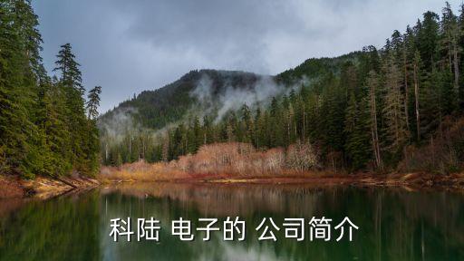  科陸 電子的 公司簡(jiǎn)介
