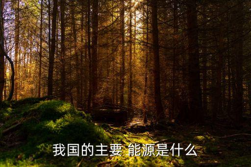 我國(guó)的主要 能源是什么