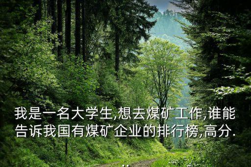 我是一名大學(xué)生,想去煤礦工作,誰(shuí)能告訴我國(guó)有煤礦企業(yè)的排行榜,高分...