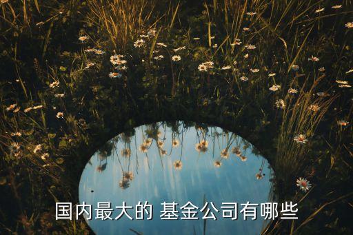 國(guó)內(nèi)最大的 基金公司有哪些