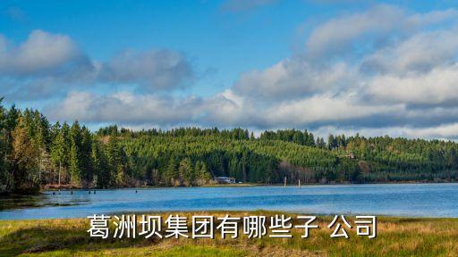  葛洲壩集團有哪些子 公司