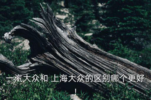上海大眾汽車(chē)有限公司所有制形式,上海上汽大眾汽車(chē)銷(xiāo)售有限公司