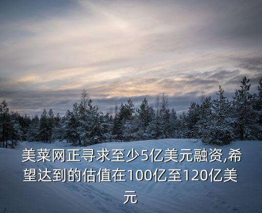  美菜網(wǎng)正尋求至少5億美元融資,希望達到的估值在100億至120億美元