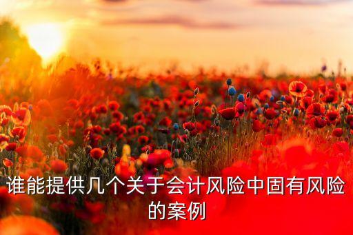 誰能提供幾個關于會計風險中固有風險的案例