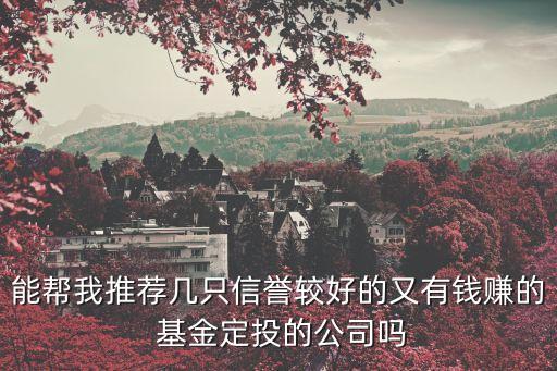 能幫我推薦幾只信譽(yù)較好的又有錢(qián)賺的 基金定投的公司嗎