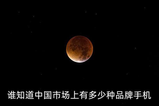 誰知道中國市場上有多少種品牌手機