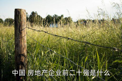 中國 房地產(chǎn)企業(yè)前二十強(qiáng)是什么
