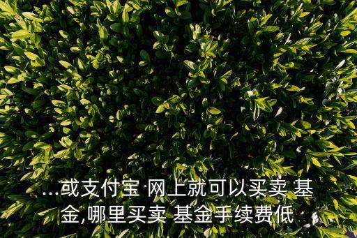工商銀行網(wǎng)上銀行買基金費率