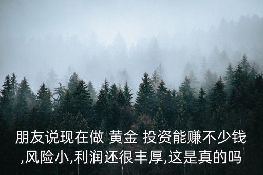朋友說(shuō)現(xiàn)在做 黃金 投資能賺不少錢(qián),風(fēng)險(xiǎn)小,利潤(rùn)還很豐厚,這是真的嗎