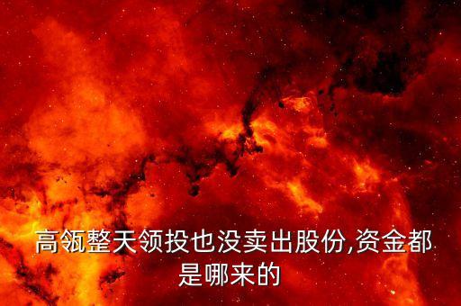 高瓴資本集團(tuán)新心金融