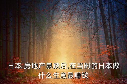 日本 房地產(chǎn)暴跌后,在當時的日本做什么生意最賺錢