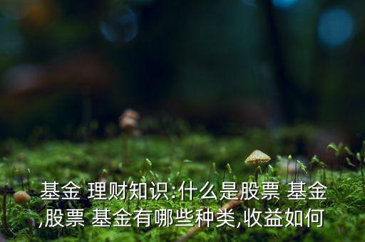  基金 理財(cái)知識:什么是股票 基金,股票 基金有哪些種類,收益如何