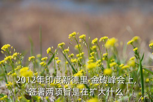 2012年印度新德里 金磚峰會上,簽署兩項旨是在擴(kuò)大什么