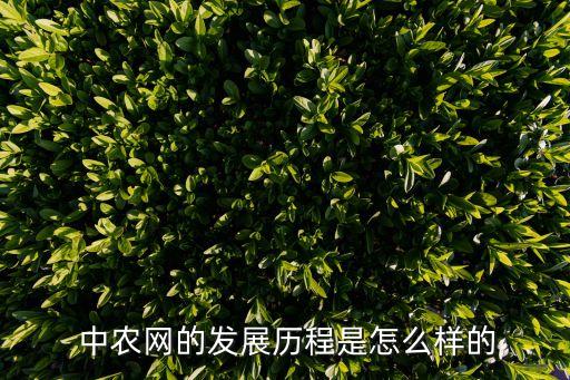  中農網的發(fā)展歷程是怎么樣的