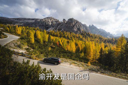 渝開發(fā)是國(guó)企嗎