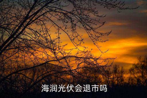  海潤(rùn)光伏會(huì)退市嗎