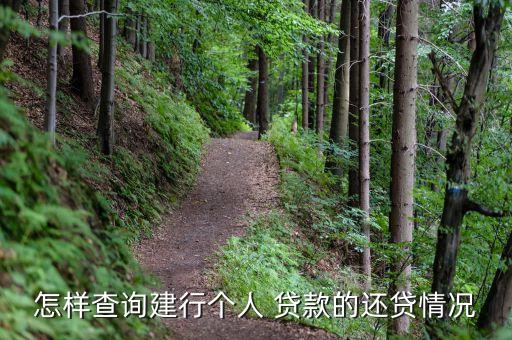 怎樣查詢建行個(gè)人 貸款的還貸情況