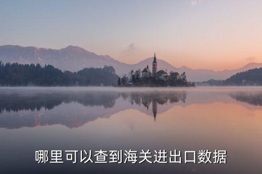 哪里可以查到海關進出口數據