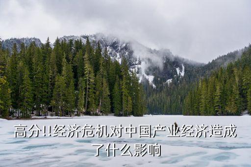 高分!!經(jīng)濟(jì)危機(jī)對(duì)中國(guó)產(chǎn)業(yè)經(jīng)濟(jì)造成了什么影響