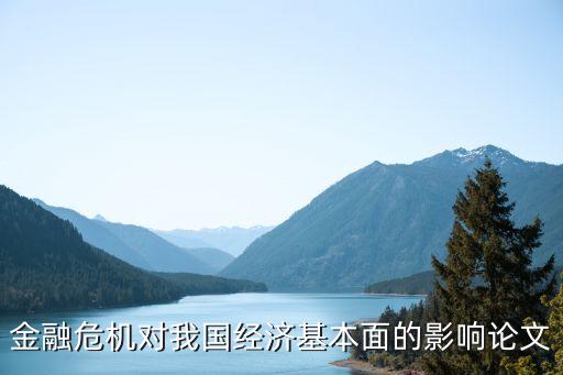 金融危機(jī)對(duì)我國(guó)經(jīng)濟(jì)基本面的影響論文