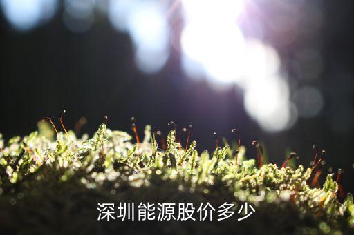 深圳能源股價(jià)多少