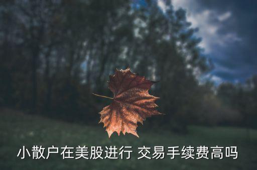 小散戶(hù)在美股進(jìn)行 交易手續(xù)費(fèi)高嗎