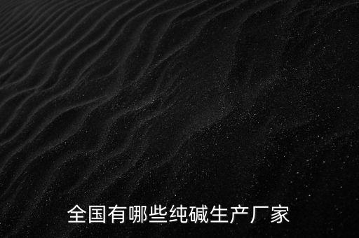 全國(guó)有哪些純堿生產(chǎn)廠家