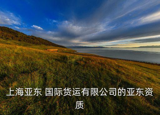 上海亞東 國際貨運(yùn)有限公司的亞東資質(zhì)