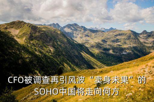 CFO被調(diào)查再引風(fēng)波“賣身未果”的SOHO中國(guó)將走向何方
