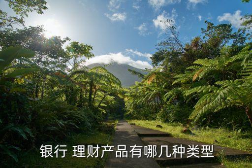 銀行理財產品都有什么