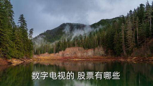 歌華有線(xiàn)股票,600037歌華有線(xiàn)股票