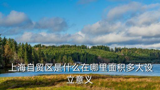 上海自由貿(mào)易區(qū)的特點,請談談北美自由貿(mào)易區(qū)的特點