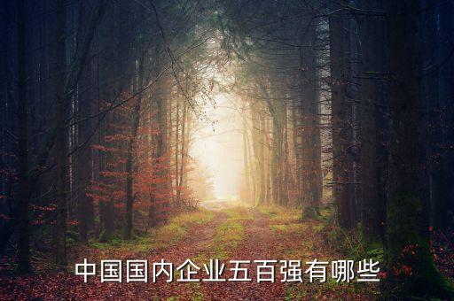 中國國內(nèi)企業(yè)五百強有哪些