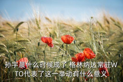 孫宇晨什么時候成了 格林納達(dá)常駐WTO代表了這一舉動有什么意義