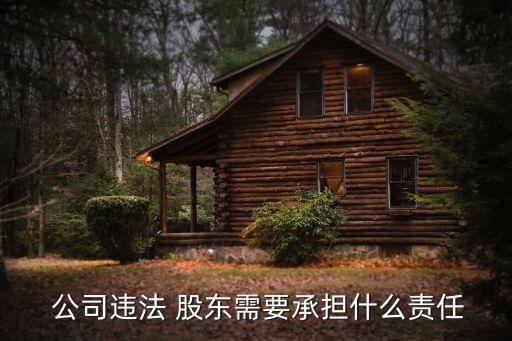  公司違法 股東需要承擔什么責任