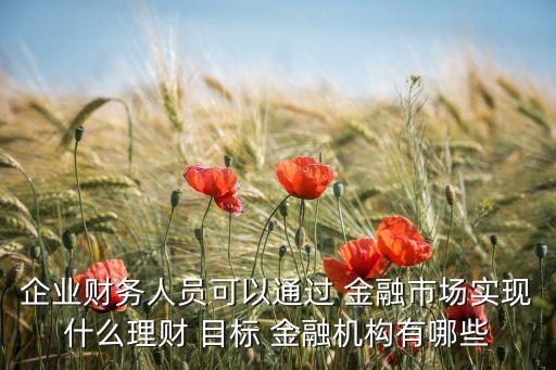 公司金融目標(biāo)的幾種觀點(diǎn),對公司金融目標(biāo)的認(rèn)識