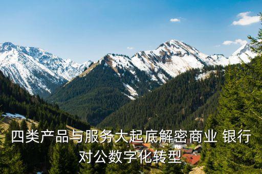 四類(lèi)產(chǎn)品與服務(wù)大起底解密商業(yè) 銀行對(duì)公數(shù)字化轉(zhuǎn)型
