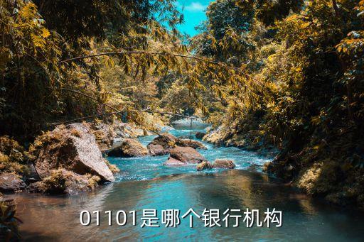 01101是哪個銀行機構(gòu)