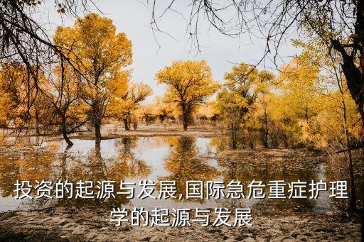 國際投資的起源與發(fā)展,國際急危重癥護理學(xué)的起源與發(fā)展