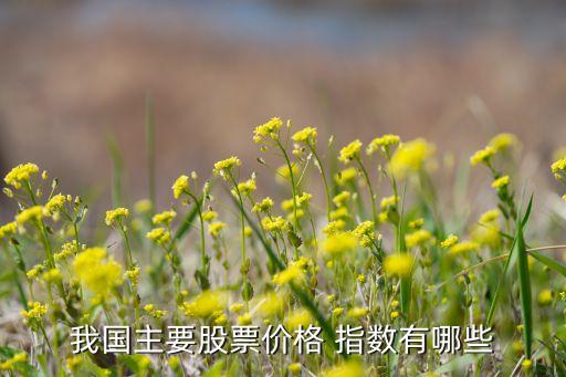 我國主要股票價格 指數有哪些